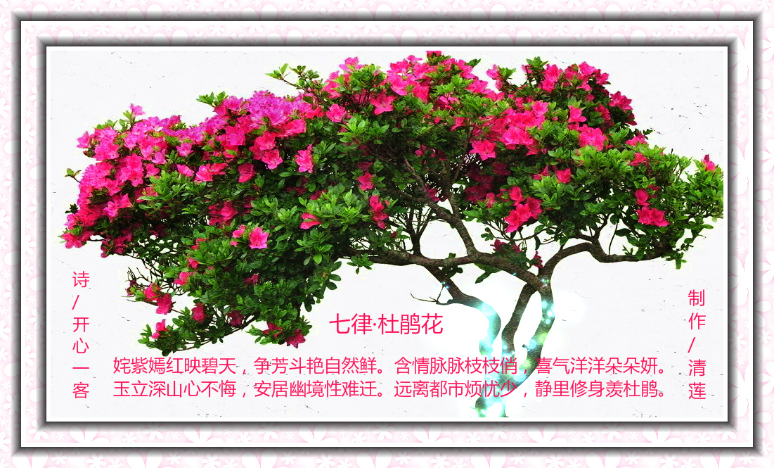 杜鹃花诗.jpg