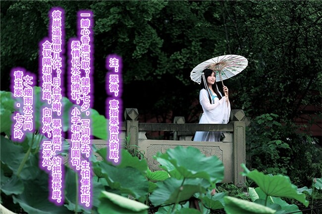 QQ图片20140731111727.jpg