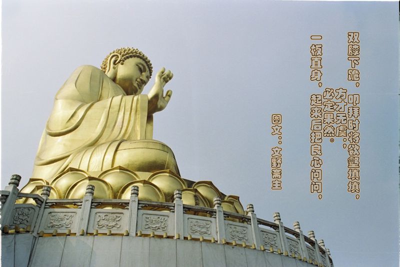 17606963.jpg