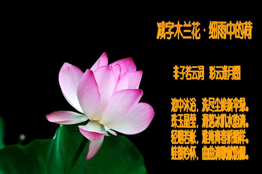 20120527230433_ySNdi_conew1.jpg