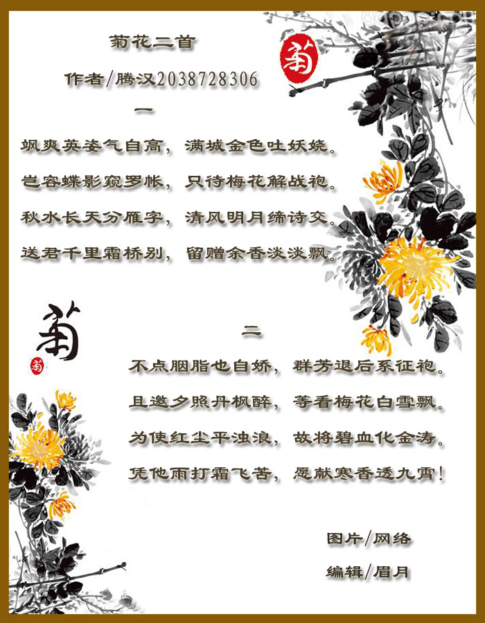 菊花二首.jpg