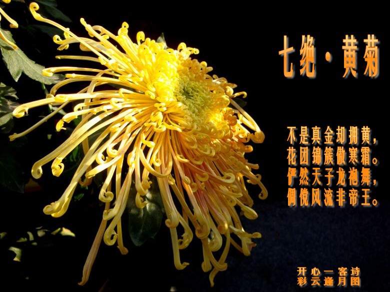 u=618927245,2984792230&amp;fm=90&amp;gp=0_conew5.jpg