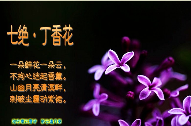 111626dzdyphmhx2nnh44s_conew1.jpg