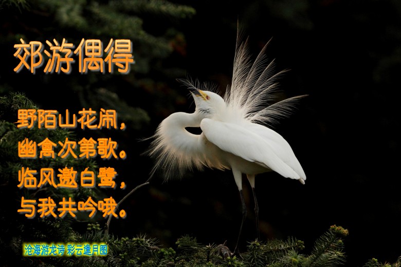 zhuomianjiazuogaoqingbizhi_479412_9 (1)_conew1.jpg
