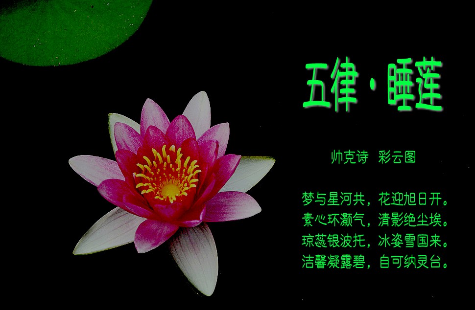 u=2861590699,2554113183&amp;fm=21&amp;gp=0_conew4.jpg