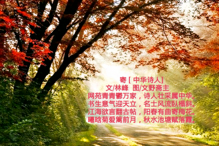 20130917194941_VW5Gw_mh1407651504106.jpg