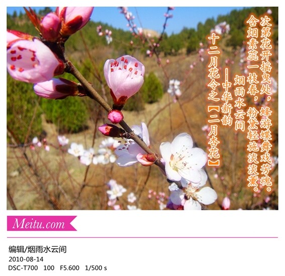 QQ图片20140814223958.jpg