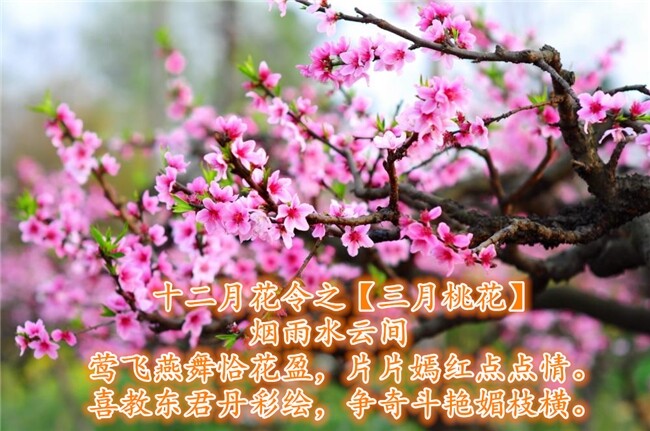 QQ图片20140814225056.jpg