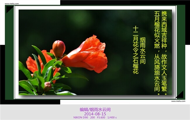 QQ图片20140815202009.jpg