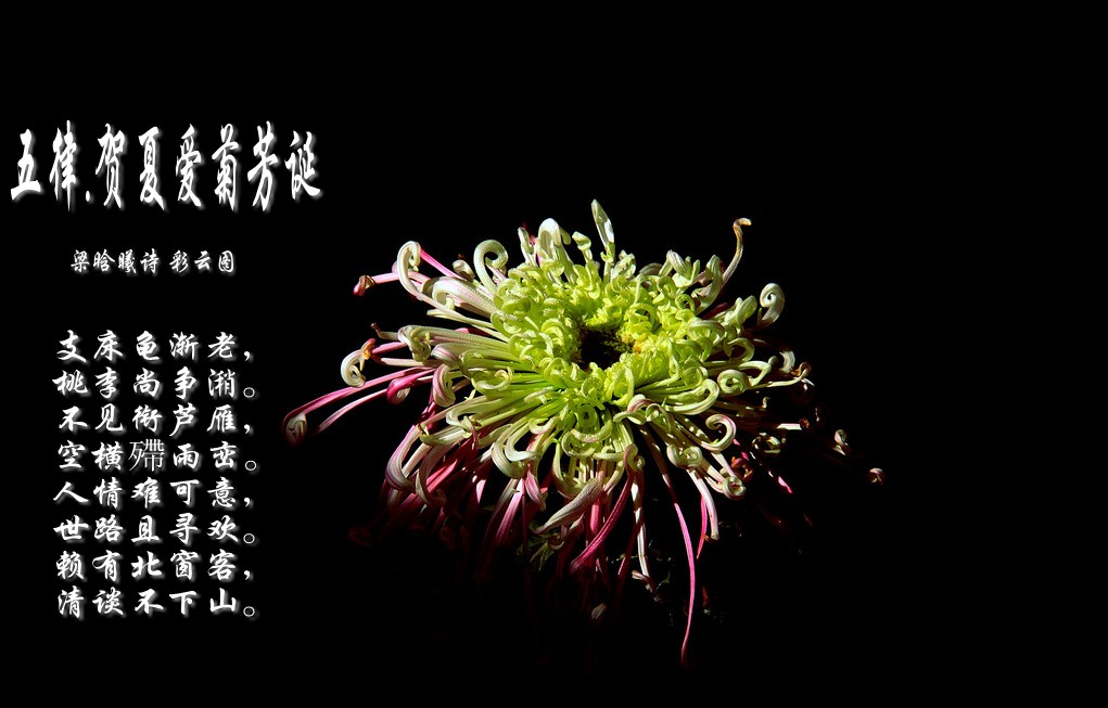 zhuomianjiazuogaoqingbizhi_479412_9_conew18.jpg