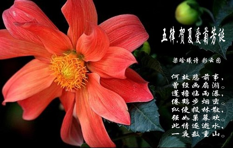 zhuomianjiazuogaoqingbizhi_479412_9_conew22.jpg