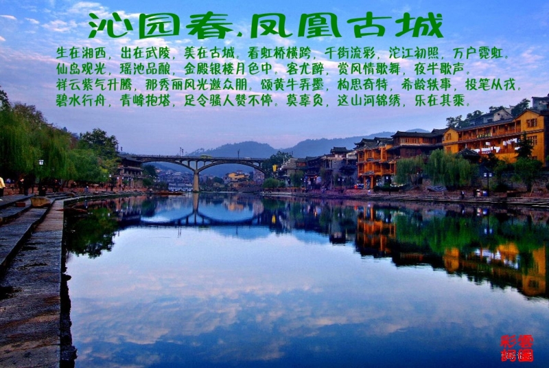 4cc023c53b168c1346700000_conew14.jpg