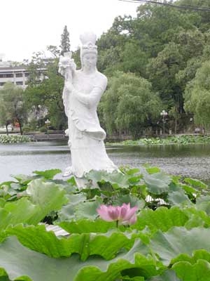佛印湖荷花仙子02.jpg