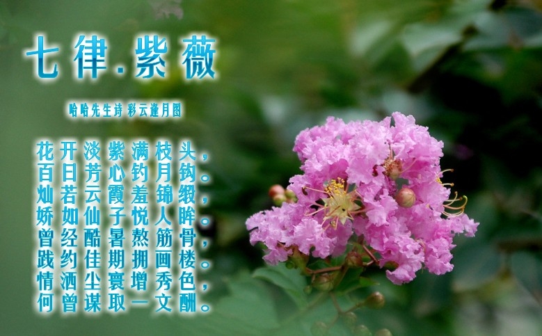 zl20110608004_conew20.jpg
