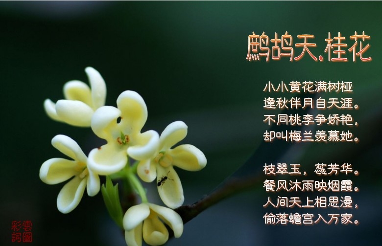 qqfuzhi_com_c72c0f725_conew5.jpg
