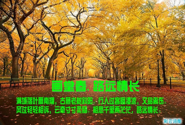 zhuomianjiazuogaoqingbizhi_479412_9_conew35.jpg