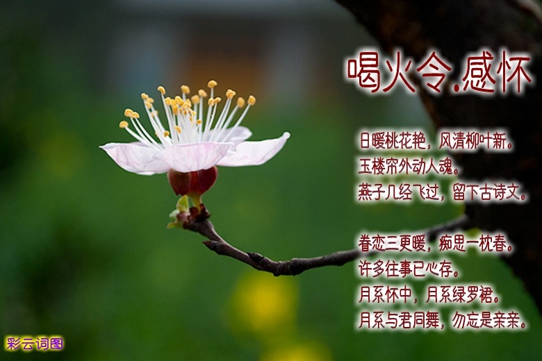 userid354602time20120319152109_conew1.jpg