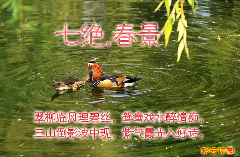 zl20110608004_conew30.jpg