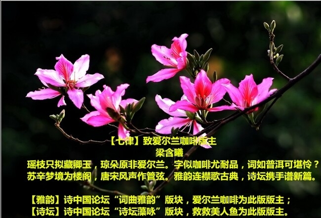 QQ图片20141006191801.jpg