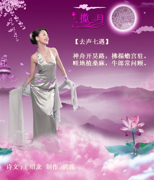 揽月.jpg
