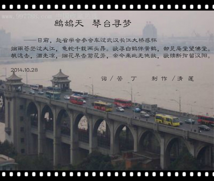 鹧鸪天 琴台寻梦.jpg