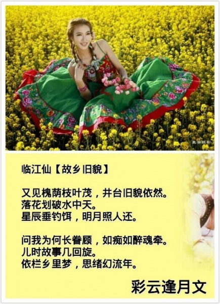 QQ图片20141118213435.jpg
