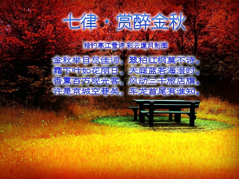 d1ddca243e86074cd50742b5_conew2.jpg