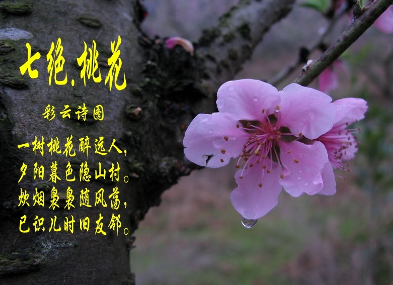 QQ图片20141113214502_conew2.jpg