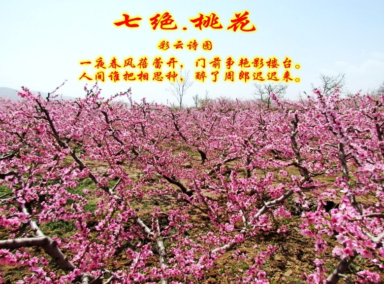 QQ图片20141122184150_conew2.jpg