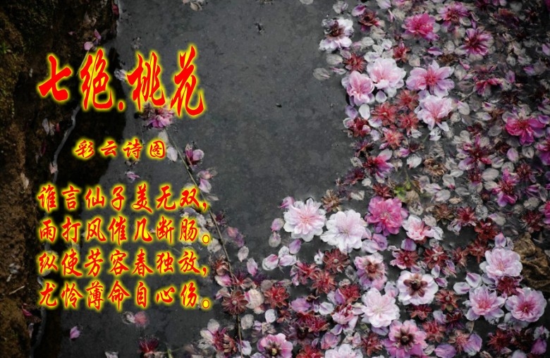 QQ图片20141113213926_conew4.jpg