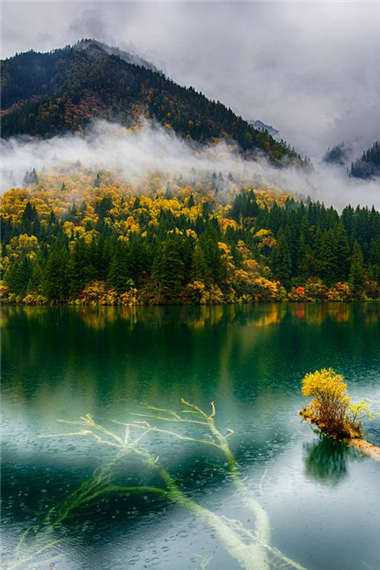 山纏玉帶樹鳧水.jpg