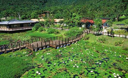 花蓮賞景賞蓮花（回文）.jpg