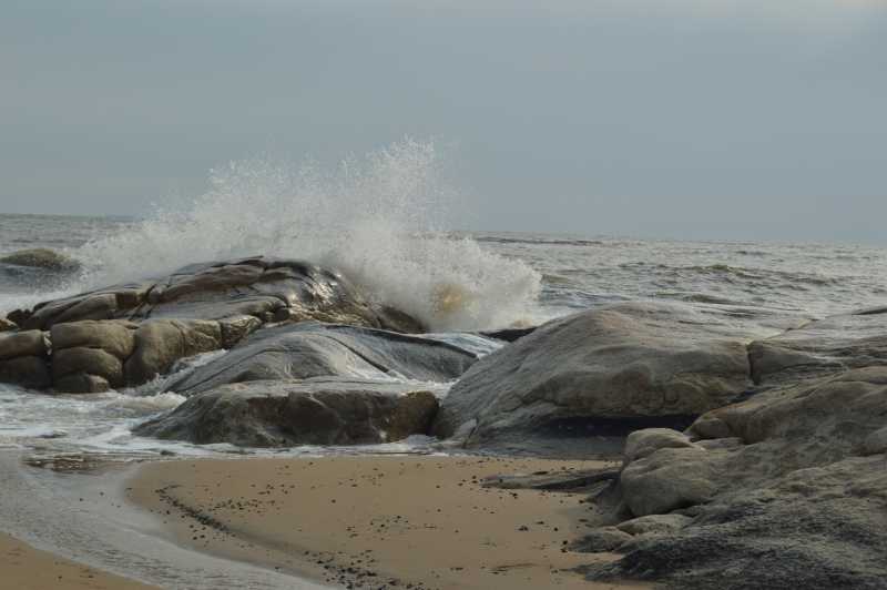 DSC_2311.jpg