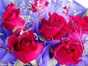 u=1497555453,367739614&amp;fm=21&amp;gp=0.jpg