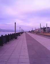 IMG_20141116_072423741.jpg