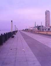 IMG_20141123_074111024.jpg