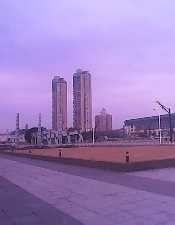 IMG_20141123_074124692.jpg