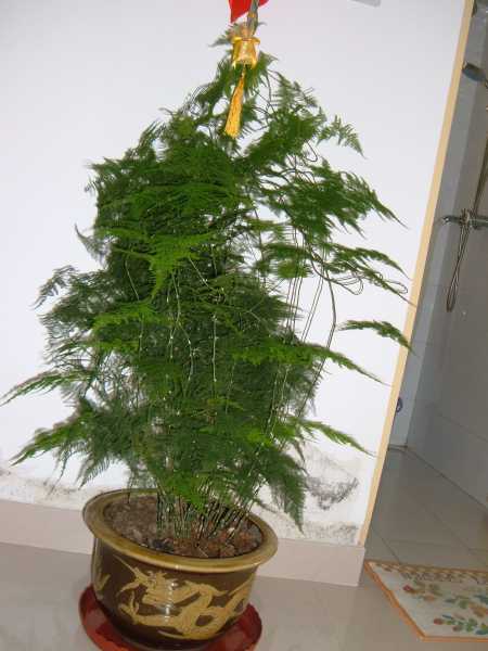 DSCF3125.JPG