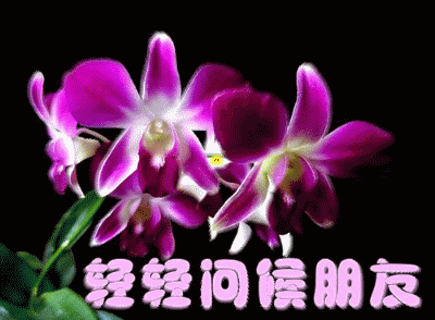 2550726238952721520.gif