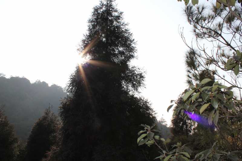 IMG_0585_看图王.jpg