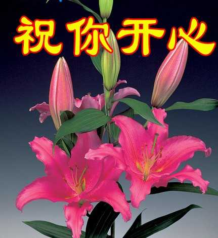 开心2.jpg