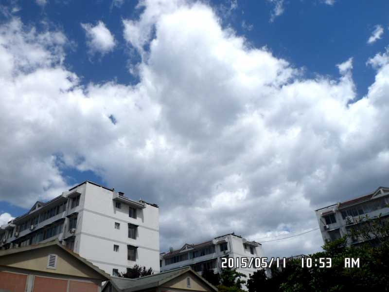 SAM_0190.JPG