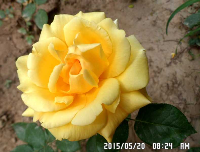 SAM_0214.JPG