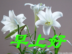 QQ图片20150522122130.gif