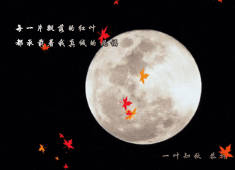 红叶是祝福.gif