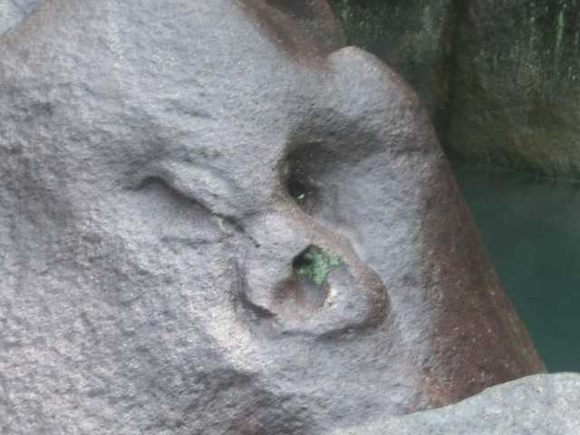 白云山08.jpg