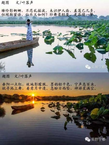 莲湖.JPG