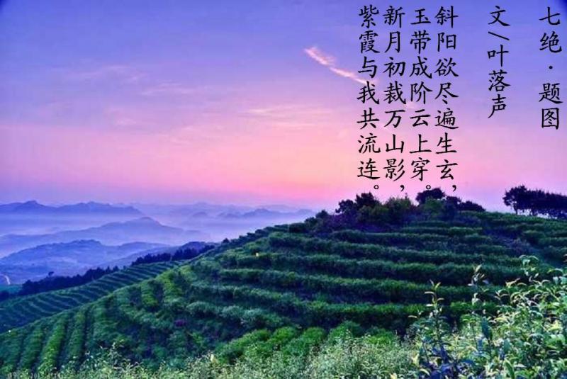 梯田.JPG