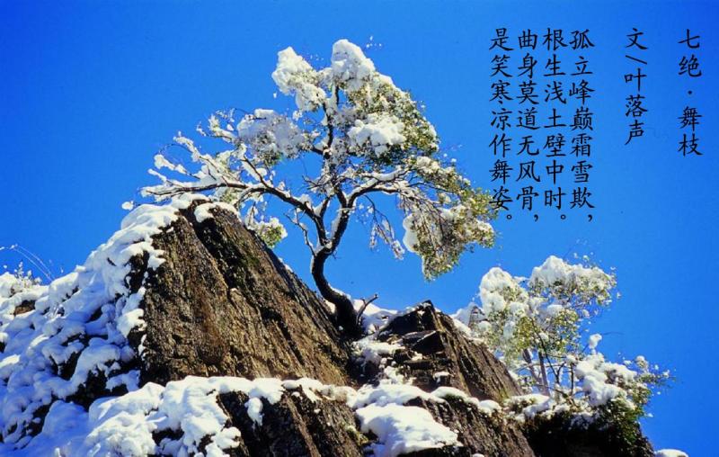 舞枝.JPG