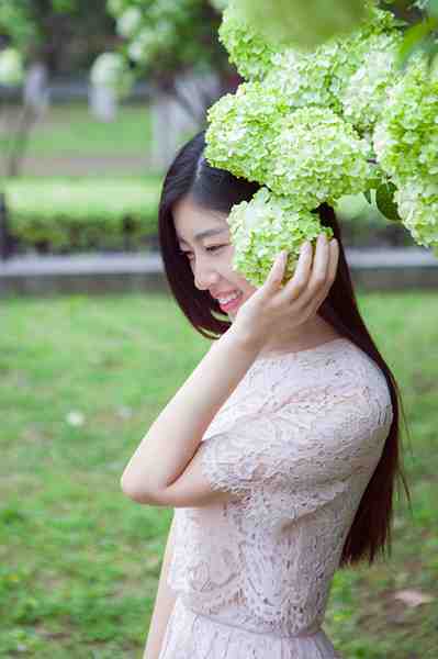 绿绣球.jpg